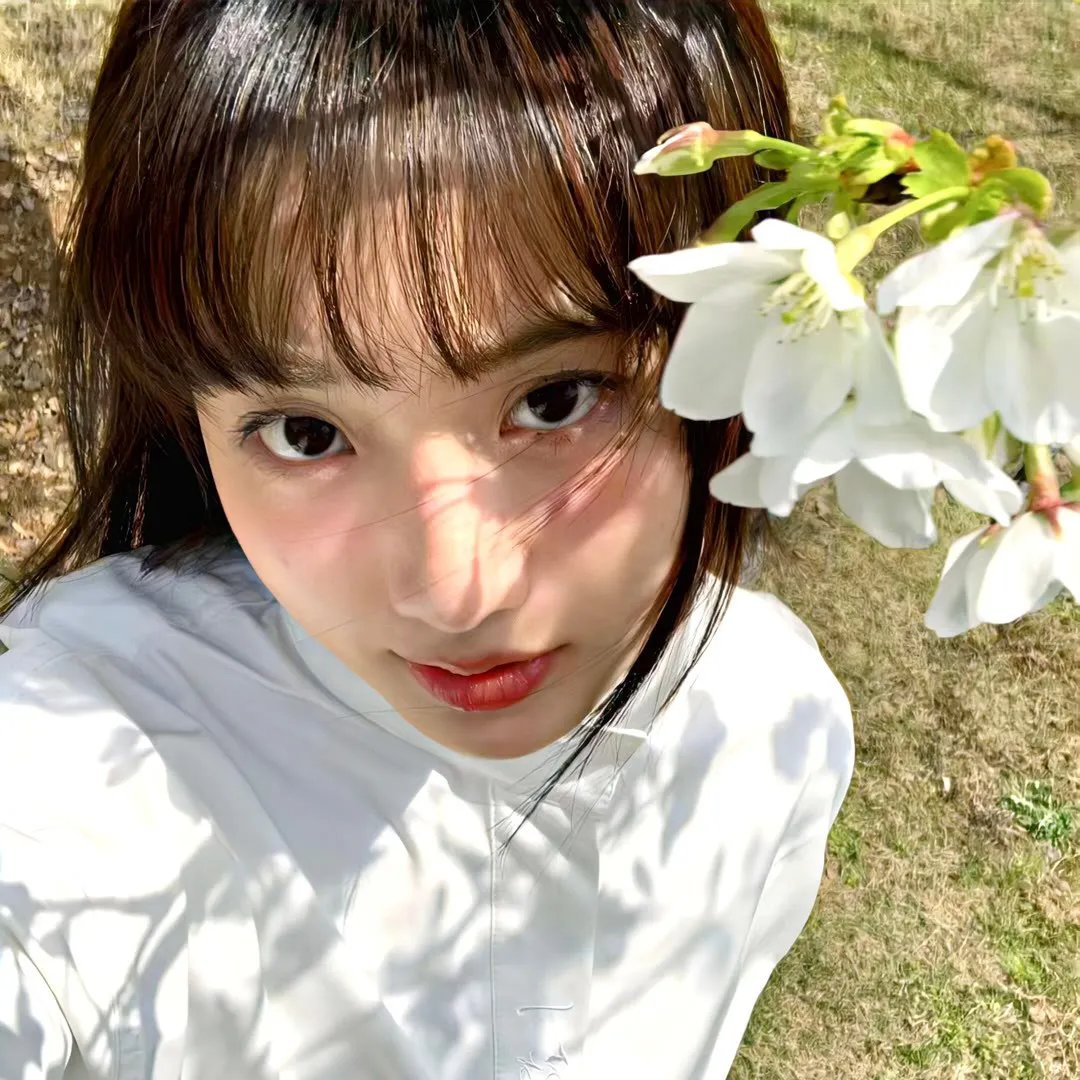 藏爱的画像